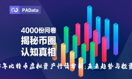 2023年比特币虚拟资产行情分析：未来趋势与投资策略