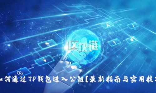 如何通过TP钱包进入公链？最新指南与实用技巧