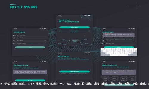 如何通过TP钱包进入公链？最新指南与实用技巧