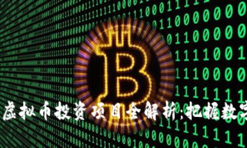 2023年云币虚拟币投资项目全解析：把握数字经济新机遇