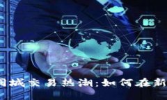 2023年虚拟币同城交易热潮