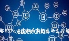全面了解EBPay：虚拟币新纪