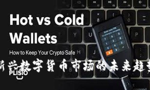 AVC虚拟币：新兴数字货币市场的未来趋势与投资机遇