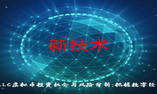 2023年LLC虚拟币投资机会与风险分析：把握数字经济的脉搏