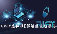 如何投资UKEY虚拟币？详解