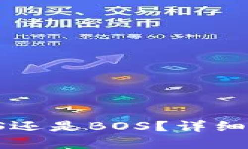 TP钱包：选择EOS还是BOS？详细解析与使用指南