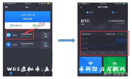 WDS虚拟币：未来数字货币的潜力与挑战