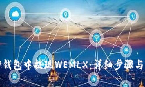 如何在TP钱包中提现WEMLX：详细步骤与注意事项