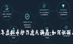2023年虚拟币炒作庞氏骗局