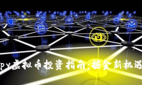 2023年Hoppy虚拟币投资指南：掘金新机遇与风险洞察