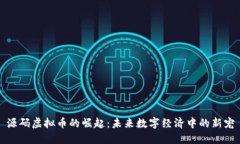 源码虚拟币的崛起：未来