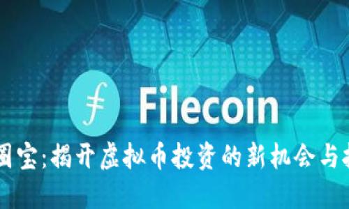 币圈宝：揭开虚拟币投资的新机会与挑战