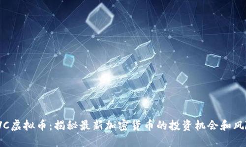 VVC虚拟币：揭秘最新加密货币的投资机会和风险