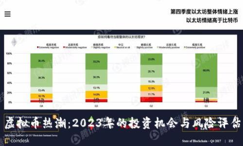 虚拟币热潮：2023年的投资机会与风险评估