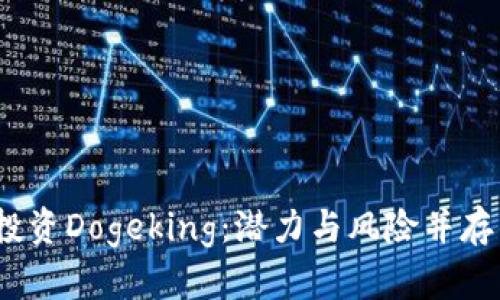 如何在2023年投资Dogeking：潜力与风险并存的虚拟货币之旅