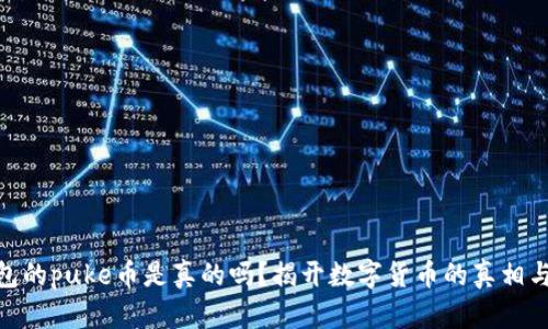 tp钱包的puke币是真的吗？揭开数字货币的真相与风险