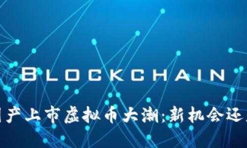 2023国产上市虚拟币大潮：新机会还是风险？