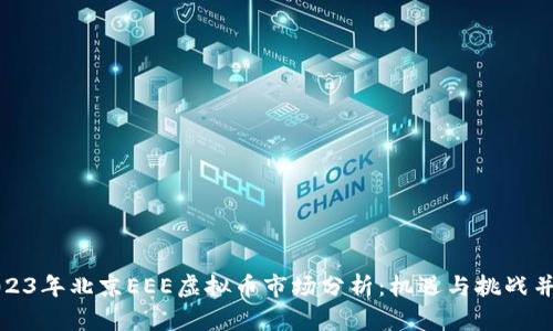 2023年北京EEE虚拟币市场分析：机遇与挑战并存
