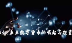 虚拟币Sudg：未来数字货币
