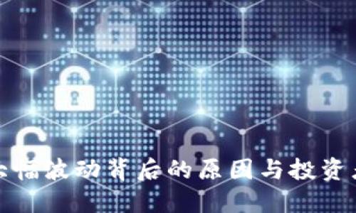 TP钱包价格大幅波动背后的原因与投资者的应对策略