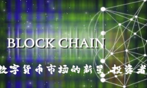IDA虚拟币：数字货币市场的新星，投资者应如何把握？