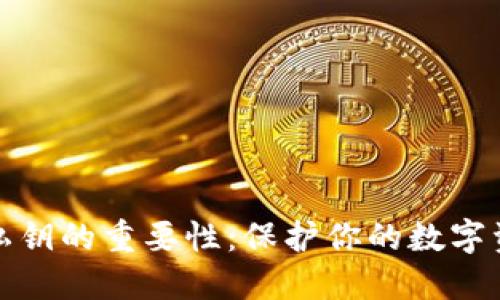 TP钱包私钥的重要性：保护你的数字资产安全