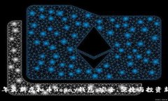 2023年最新虚拟币Gopay钱包