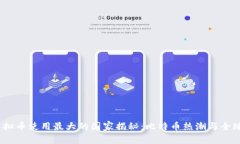 2023年虚拟币使用最大的国