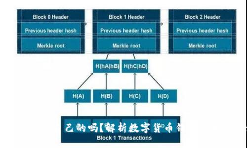 虚拟币平台钱包是自己的吗？解析数字货币钱包的本质及使用方式