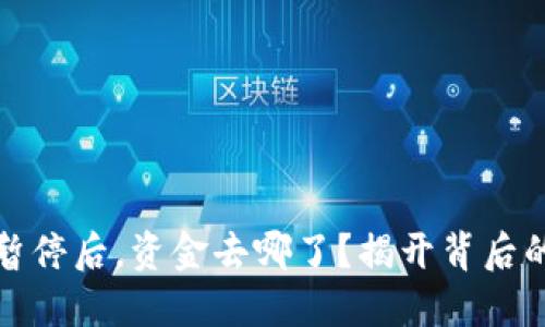 虚拟币交易暂停后，资金去哪了？揭开背后的秘密与影响