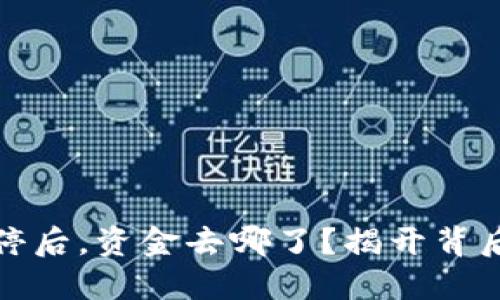 虚拟币交易暂停后，资金去哪了？揭开背后的秘密与影响