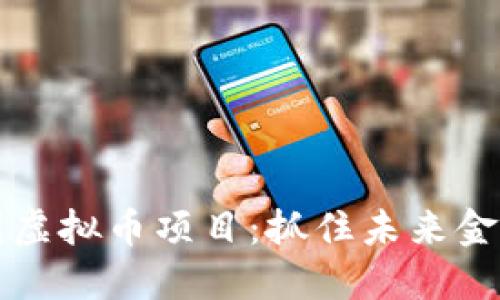 探索韩国虚拟币项目：抓住未来金融的风口