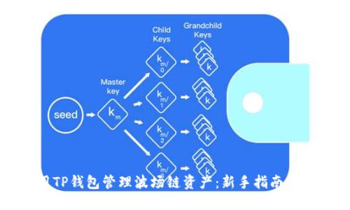 如何使用TP钱包管理波场链资产：新手指南与最佳实践
